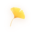 leaf6